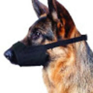 Meet your Posher, Ha ha